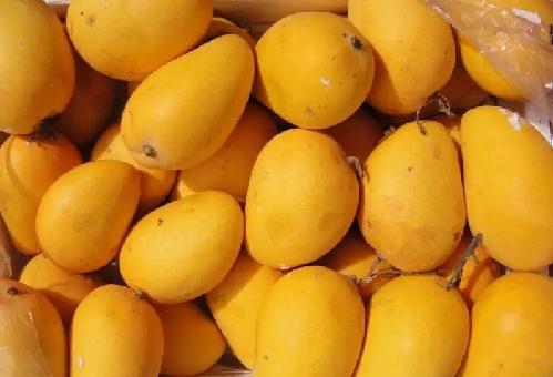 凉性水果有哪些东西