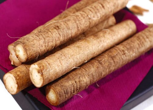 牛蒡根长什么样子图片