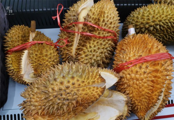 怎样选榴莲是最好的