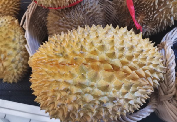 怎样选榴莲是最好的