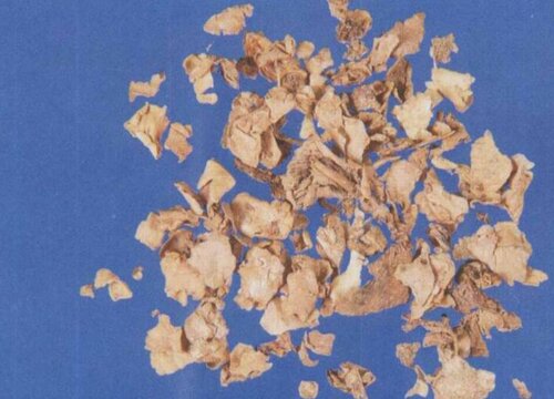 生姜皮可以做肥料吗