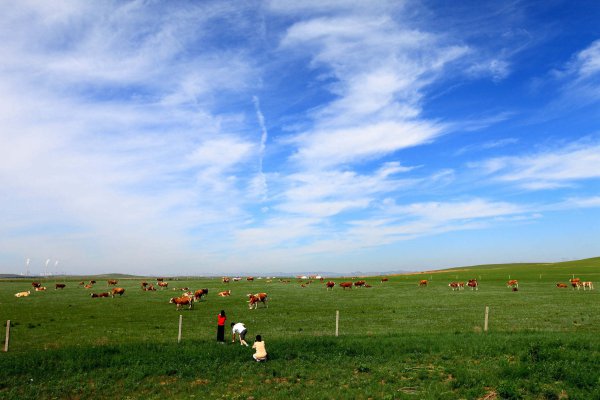 土地利用类型有哪几种