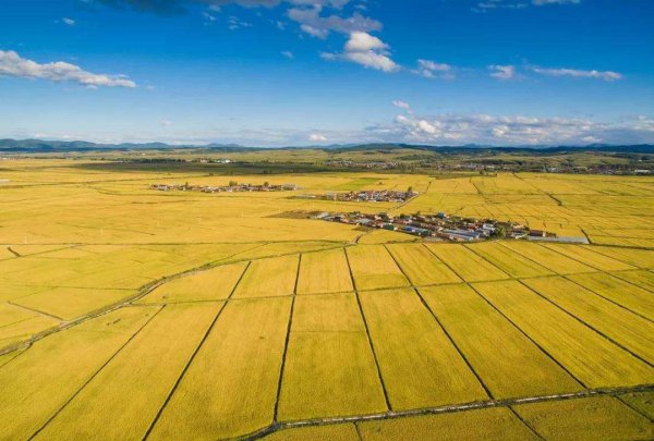土地利用类型有哪几种