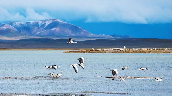 长江源头在哪里终点在哪里