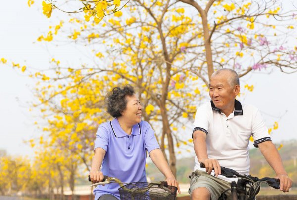 内退和正式退休区别