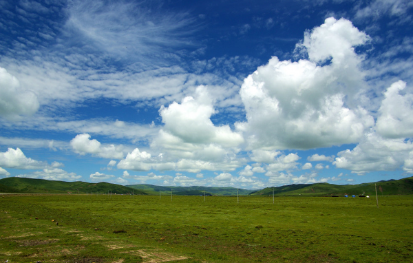 若尔盖大草原在四川哪里