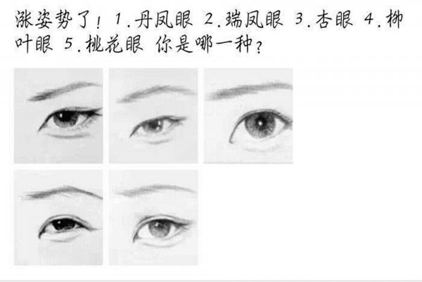 单凤眼是什么意思