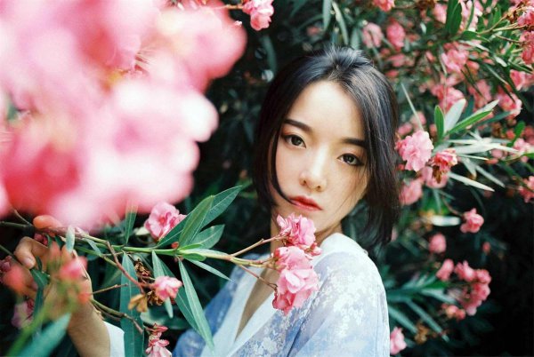 单凤眼是什么意思