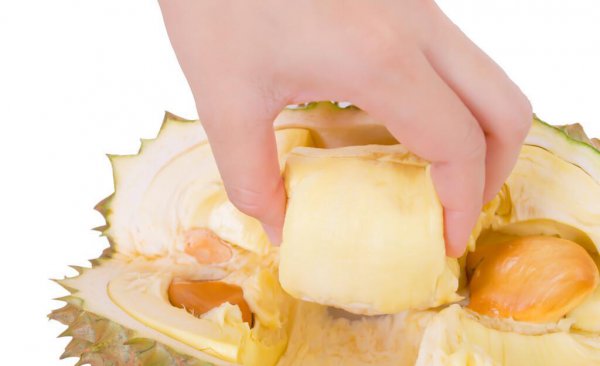 榴莲硬邦邦的是没有熟吗