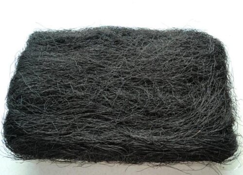 发菜是在哪里生长出来的