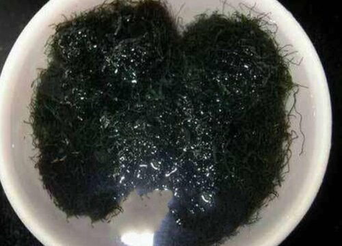 发菜是在哪里生长出来的