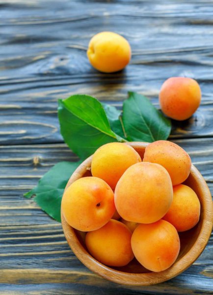 6月份吃什么水果的季节