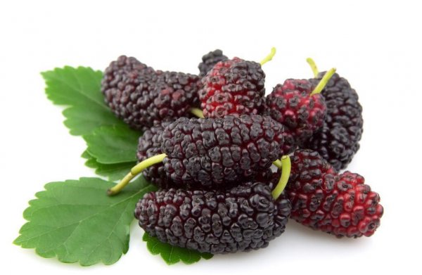 6月份吃什么水果的季节