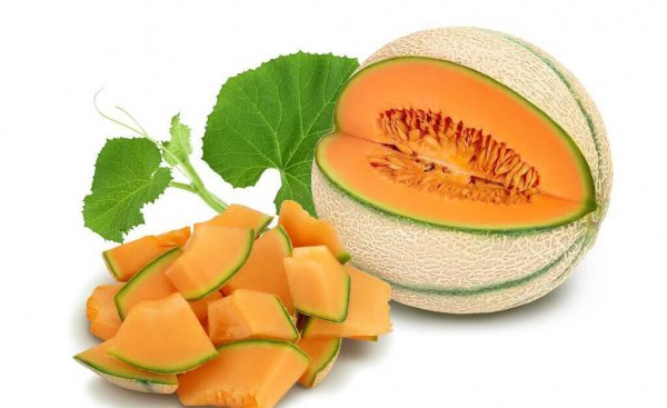 6月份吃什么水果的季节