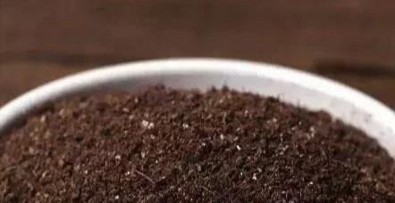 养花用的土怎么消毒杀菌