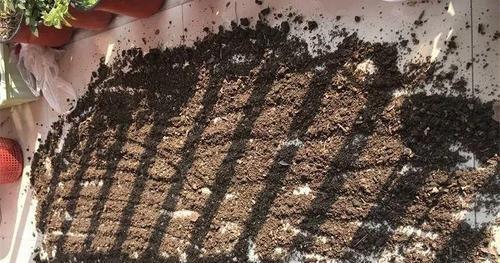 养花用的土怎么消毒杀菌