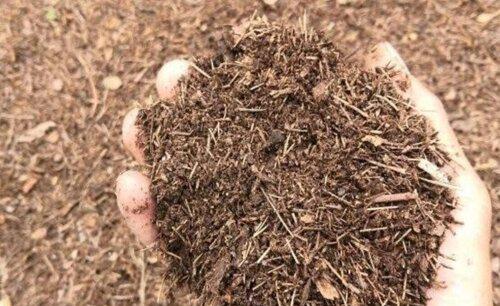 养花用的土怎么消毒杀菌