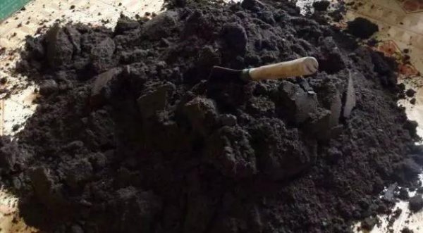 养花用的土怎么消毒杀菌