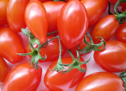 圣女果能放冰箱吗