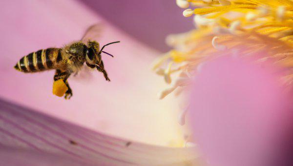 高情商女人怎么约男人