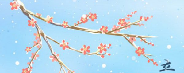 冬季天气应注意什么东西