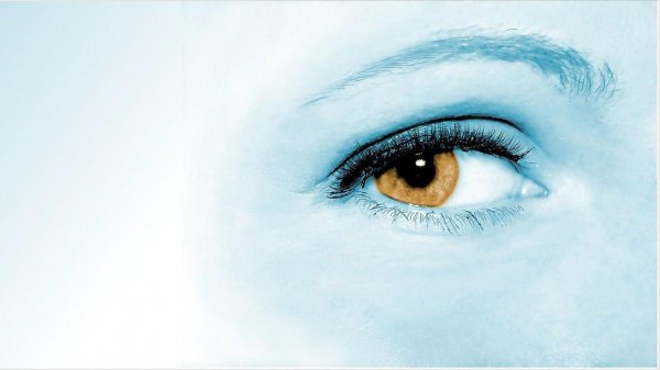 方向比努力更重要吗