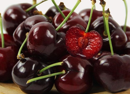 樱桃出产地在什么地方