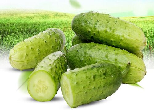 凉拌蔬菜有哪些种类