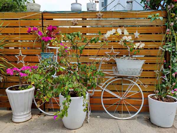 真我gt是什么牌子手机