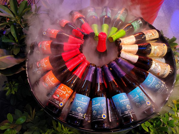 真我gt是什么牌子手机