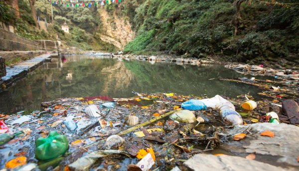 蜥蜴是爬行动物吗