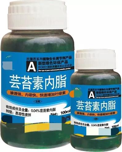 芸苔素喷玉米真的能增产吗