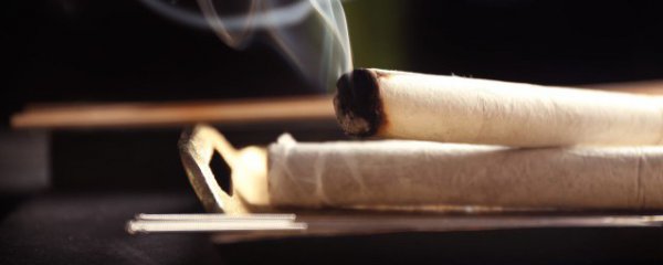 怎么分辨艾柱的好坏