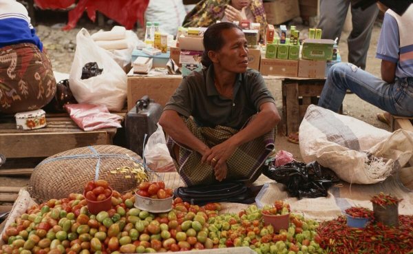 年前卖什么最快最赚钱