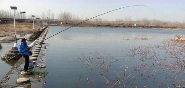 鱼竿4.5米跟5.4米哪个更实用