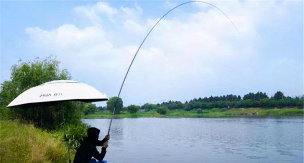 鱼竿4.5米跟5.4米哪个更实用