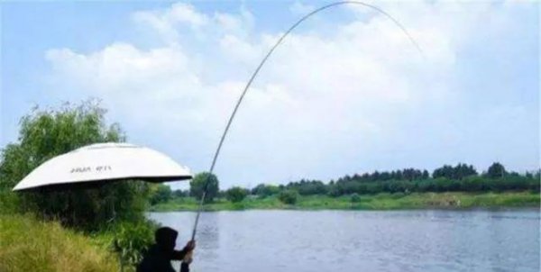 鱼竿4.5米跟5.4米哪个更实用