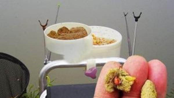 小鱼闹窝的最有效的方法