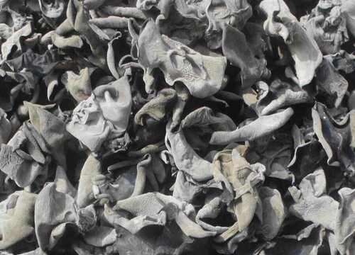 木耳废料可以做肥料吗