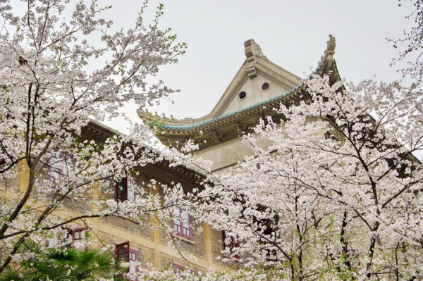 武汉大学王牌专业有哪些