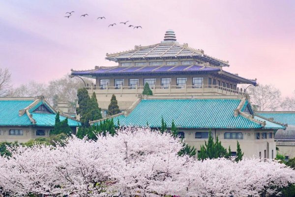 武汉大学王牌专业有哪些