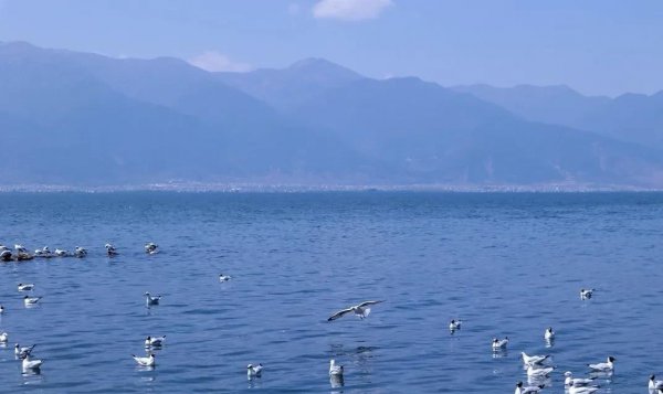 云南有什么好玩的地方景点推荐