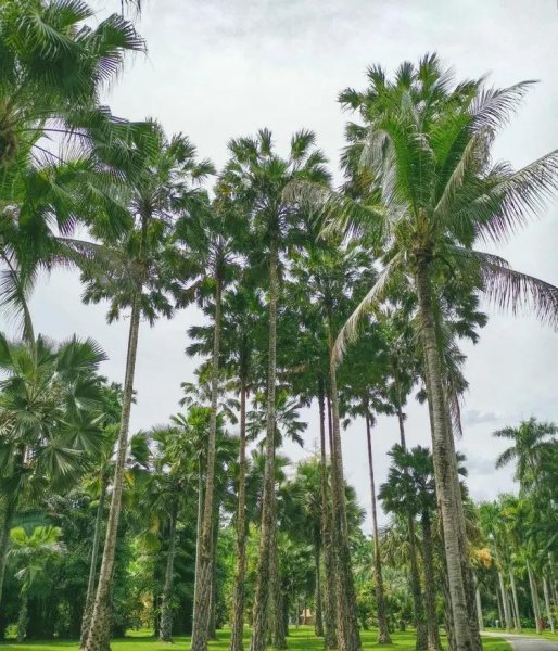 云南有什么好玩的地方景点推荐