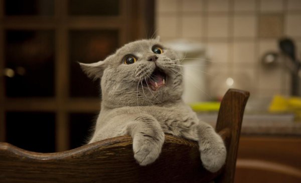 移动流量超出怎么抵消