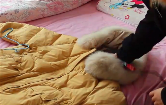 羽绒服洗完怎么恢复蓬松