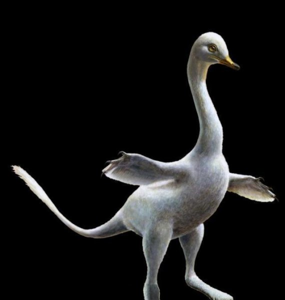 霸王龙的天敌是什么动物