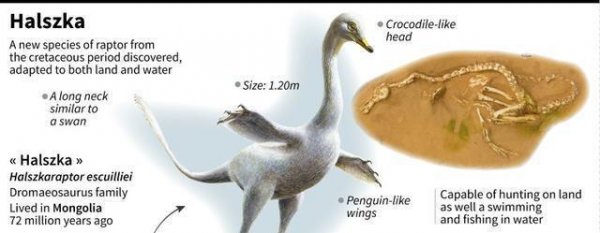 霸王龙的天敌是什么动物