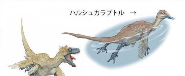 霸王龙的天敌是什么动物