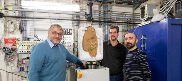 霸王龙的天敌是什么动物