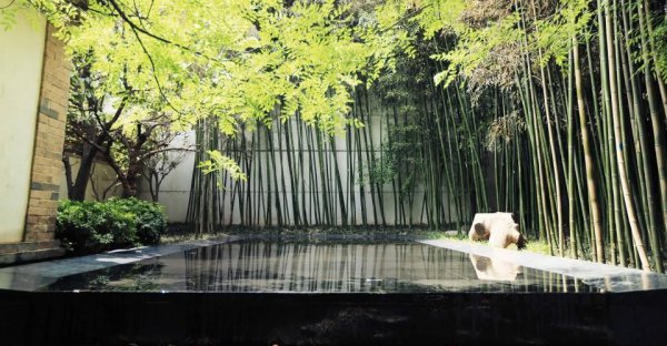 竹子风水禁忌及说法